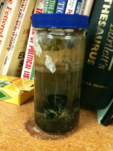 mysteryjar